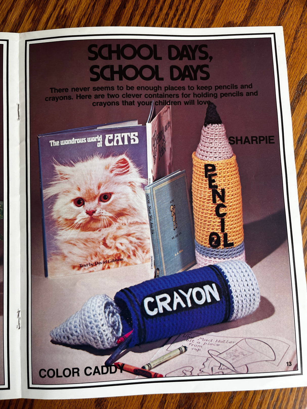 1980’s Crochet Catch-alls Booklet