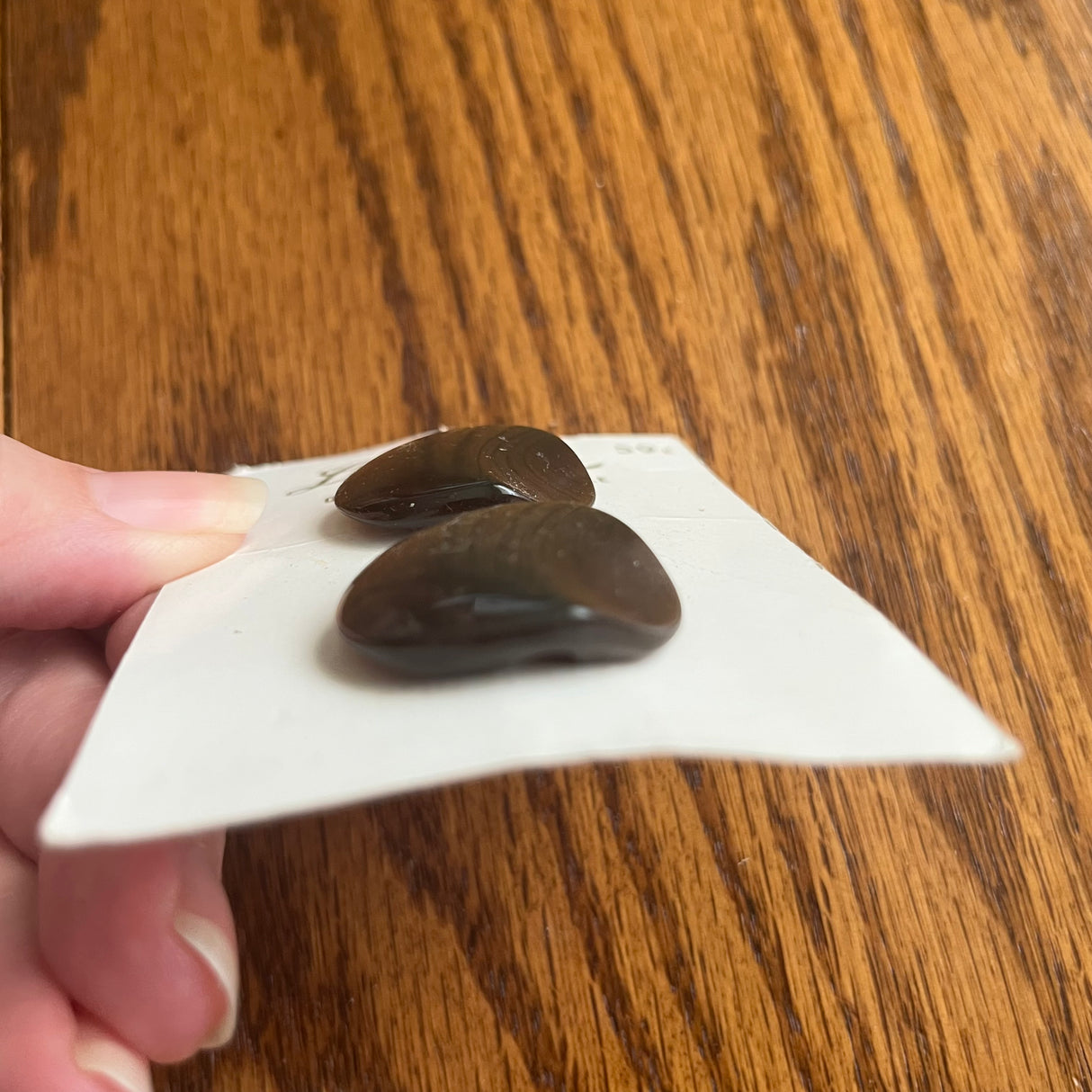 1970’s Le Chic Plastic Buttons - Opalescent Brown - Set of 2 - 1 1/8" - on card