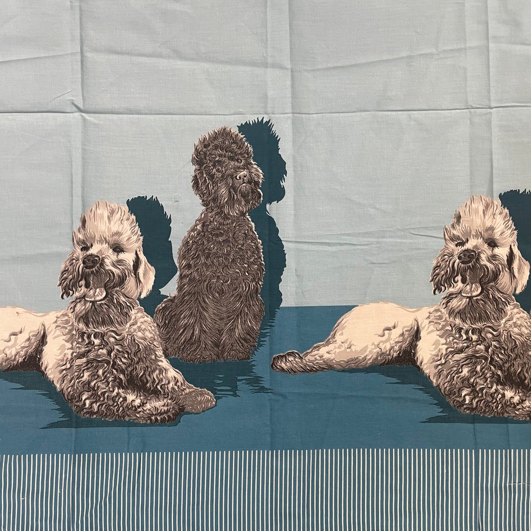 1950's John Wolf Poodle Border Print Novelty Print Cotton Fabric on Blue