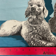 1950's John Wolf Poodle Border Print Novelty Print Cotton Fabric on Blue