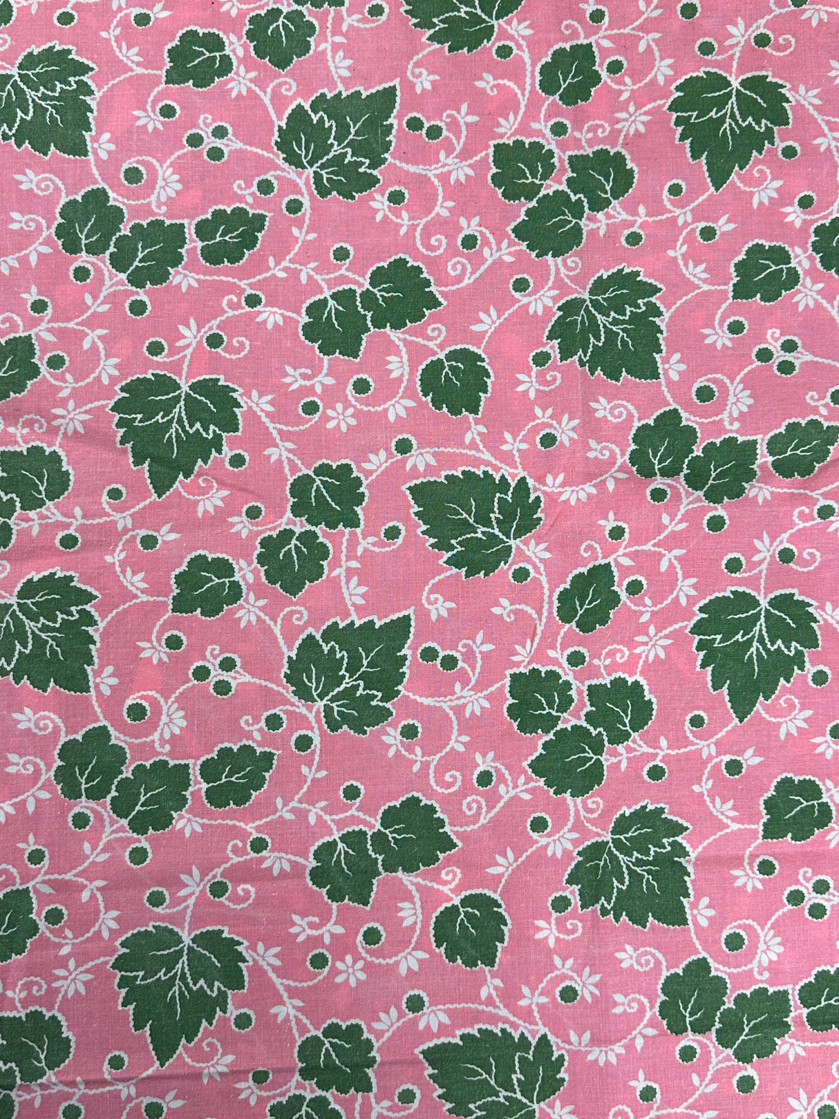 1940's Pink with Green Leafy Vines on White Cotton Fabric - (P241)