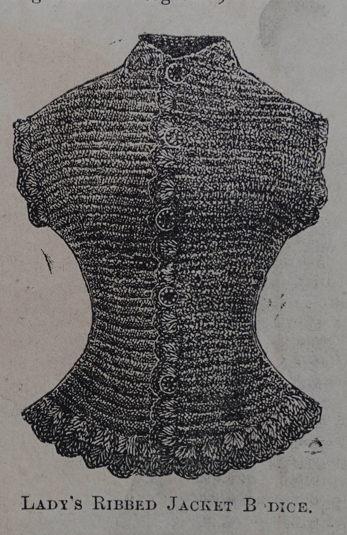 1885 Weldon's Ladies Journal Pattern book - PDF Download