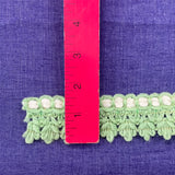 1970’s Light Green and White Edge Wool Trim - BTY