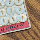 1920’s Bluebird Pearl Buttons - White - on card