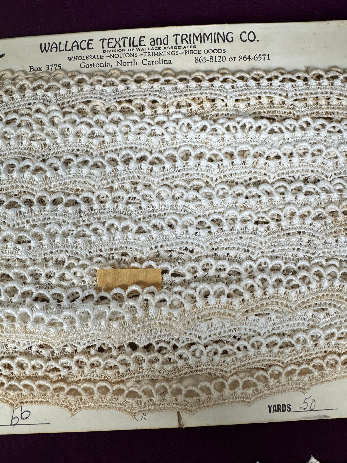 1970’s Off White Scallop Loop Edging Trim - BTY